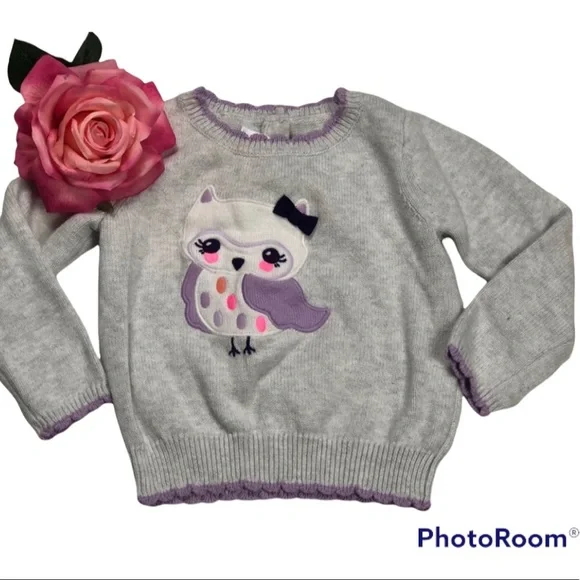 Gymboree Gray Owl Sweater size 2T - Picture 1 of 9